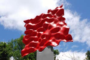 DSC_0036A
