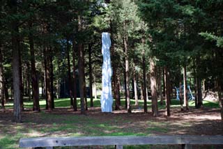 2_DSC_1116